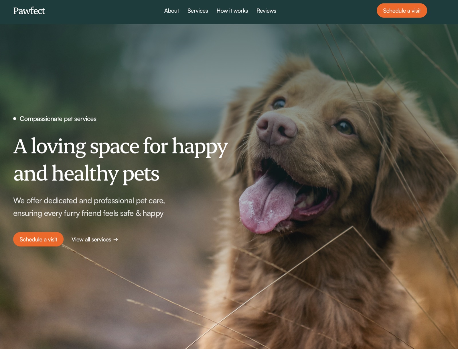 Pawfect gallery 2